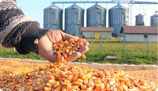 Agricultural and food processing