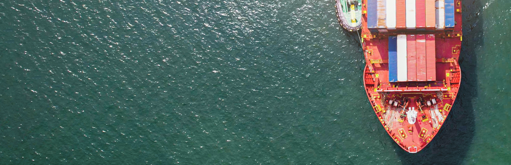 Foundation & Leadership