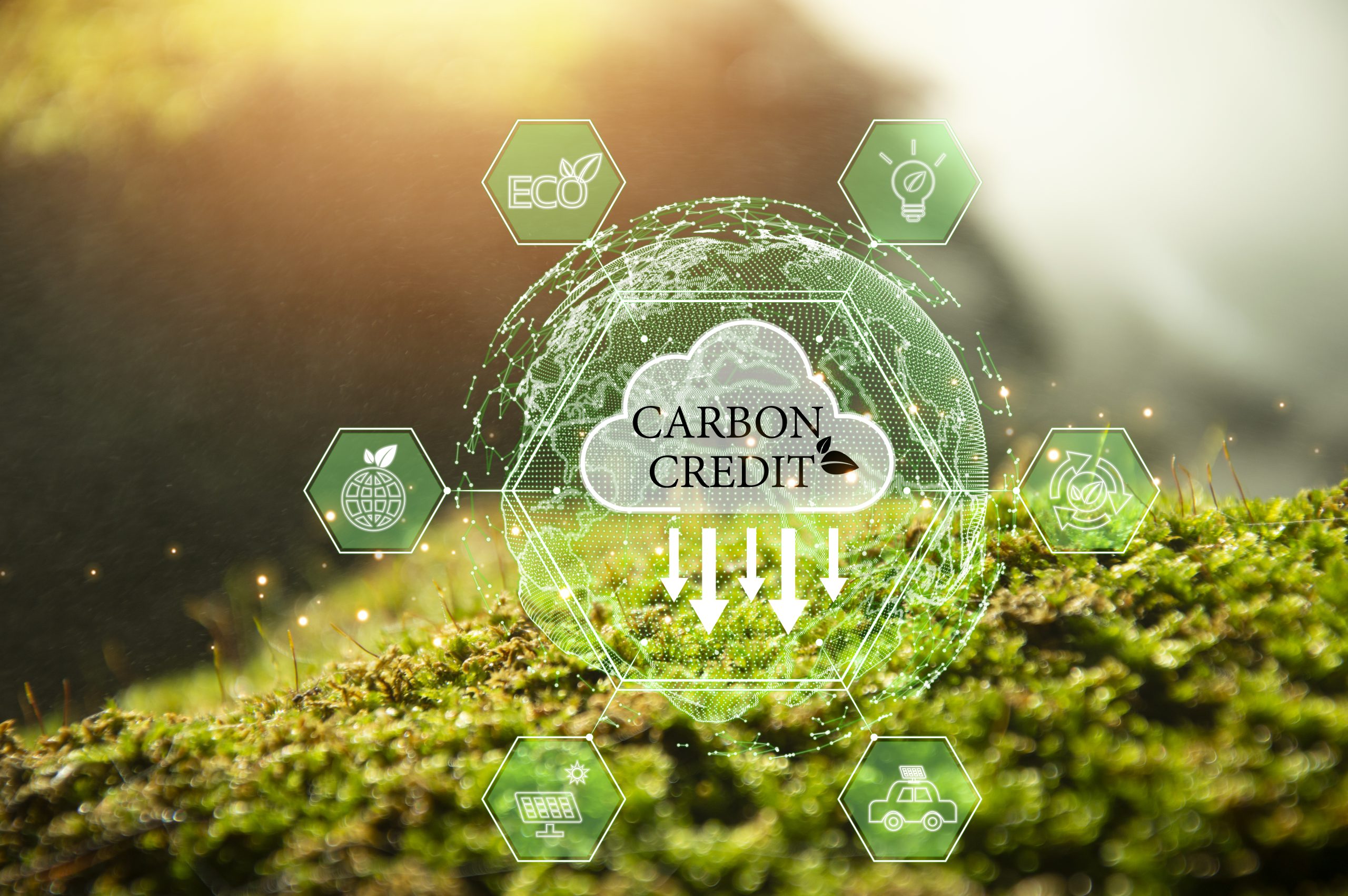 Carbon Credit 