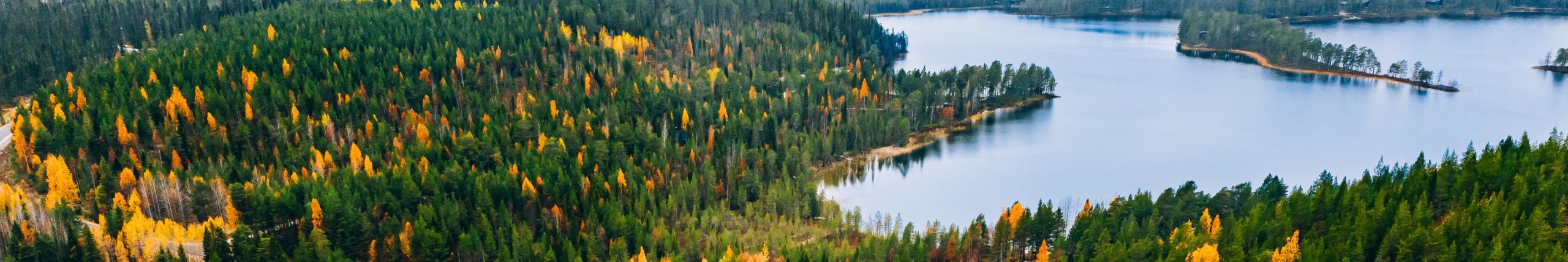 Db6a669a45a850f217d05131bcf5c049015b7915