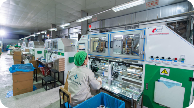 Stavian Flexible Packaging