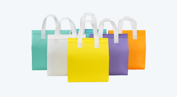 Cooler bags (with veclo and with zipper) 