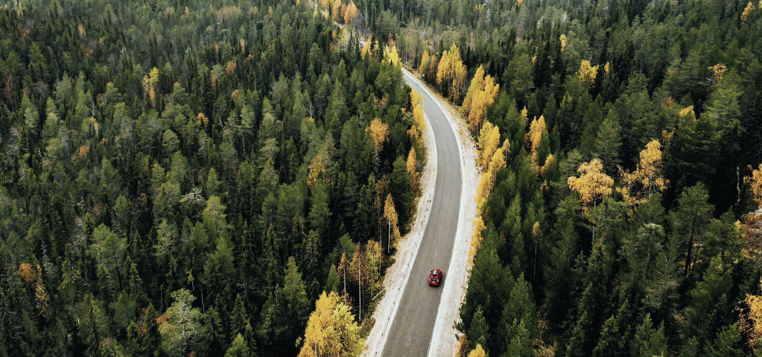 About Stavian 1671286014